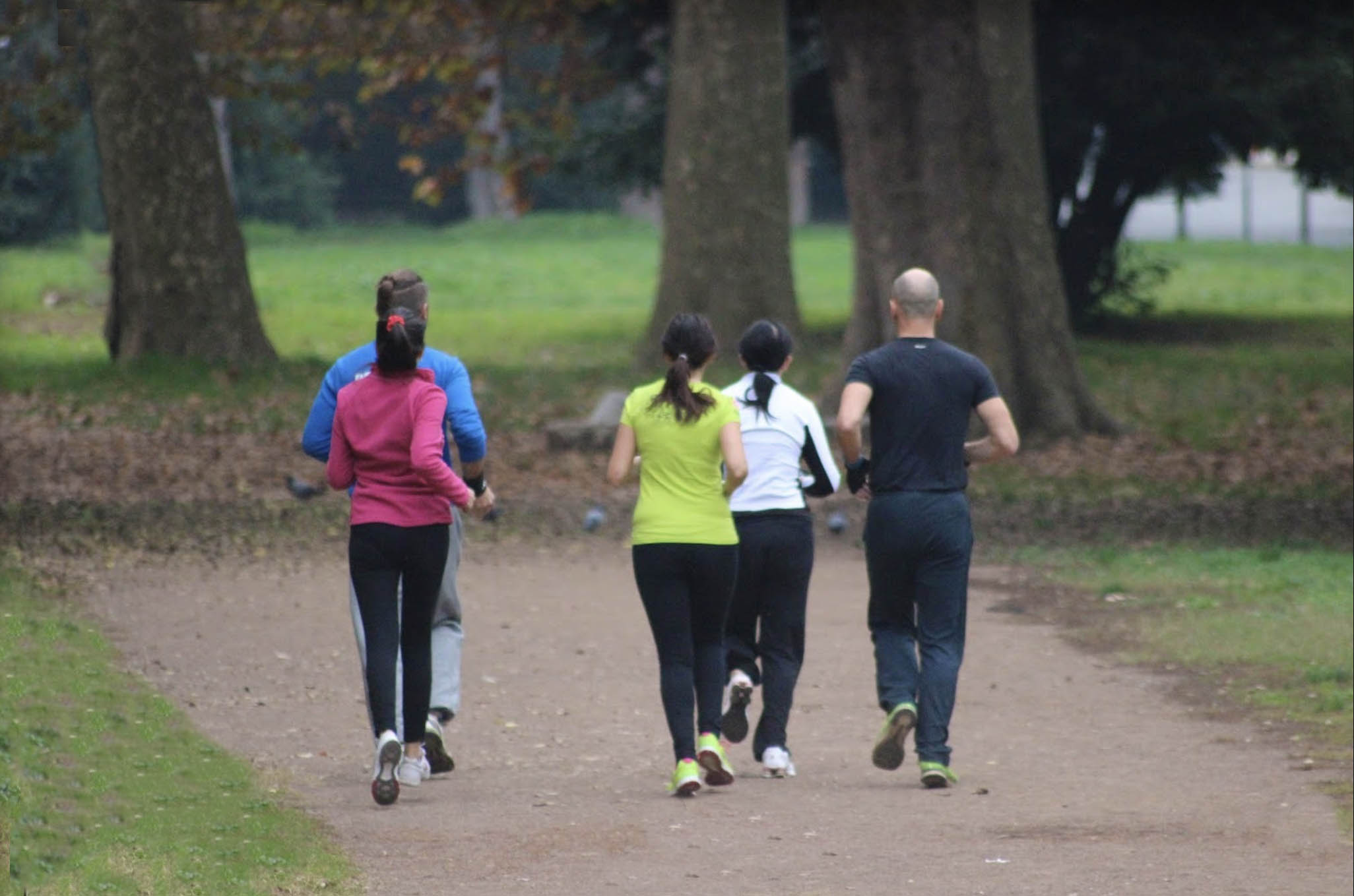 ginnastica al parco